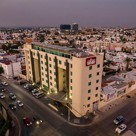 Hotel Ankara "Las Lomas" San Luis Potosí Buitenkant foto