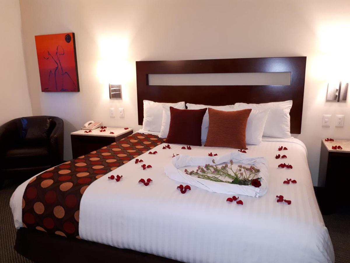 Hotel Ankara "Las Lomas" San Luis Potosí Buitenkant foto